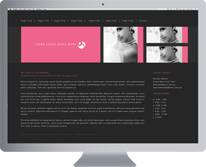 Gold Coast Website Design 